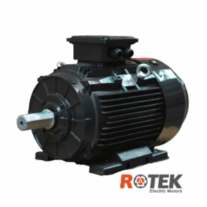 Motores Eléctricos Trifasicos IP55 Uso general IEC - Standard