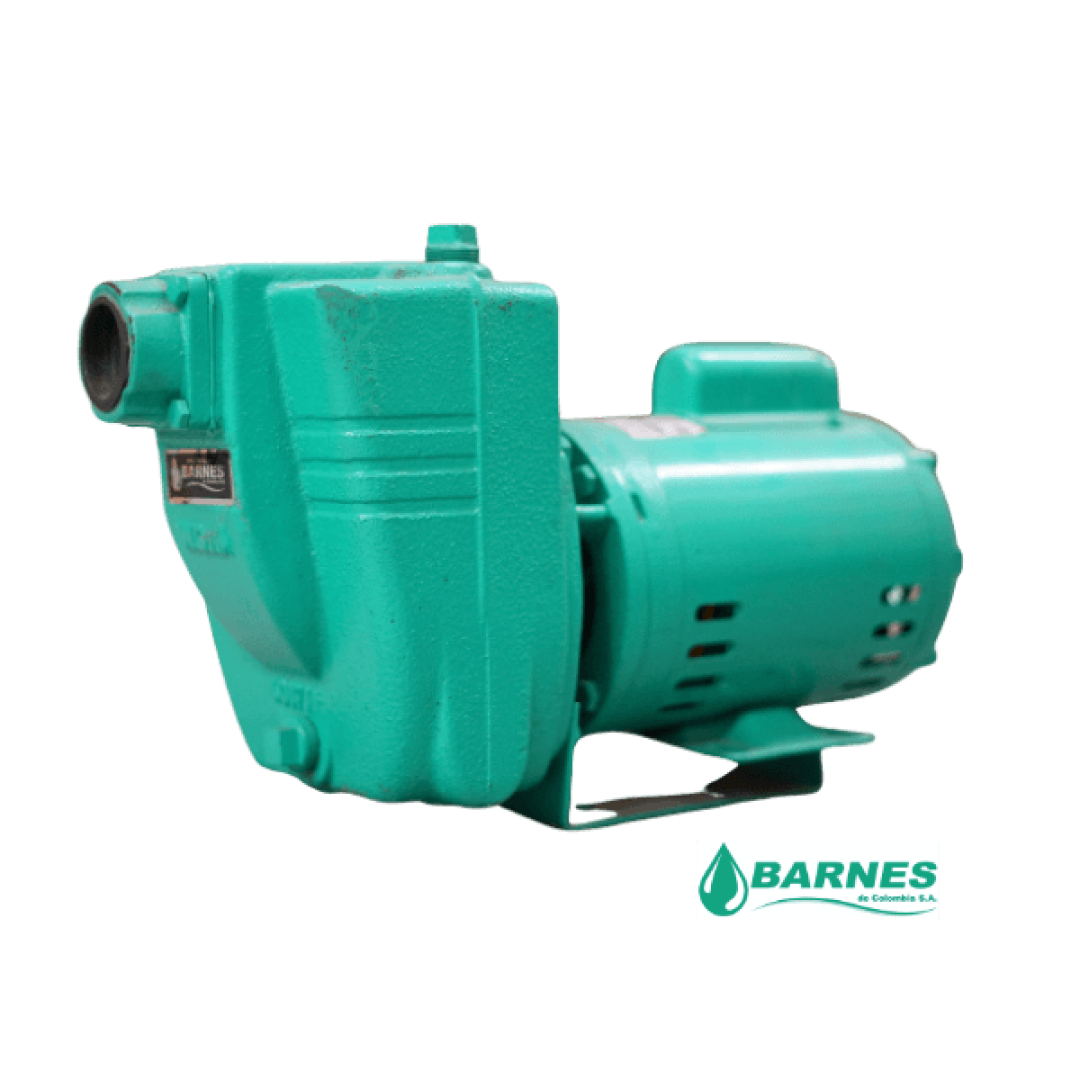 ELECTROBOMBA AUTOCEBANTE BARNES